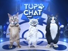 Top Chat - episodes 1&2